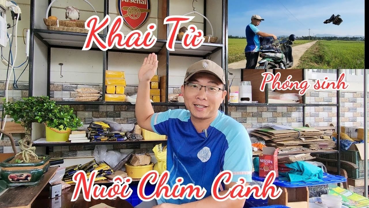 ⭕ KHAI TỬ nu&ocirc;i CHIM CẢNH - T&acirc;m sự c&ugrave;ng anh em đam m&ecirc;  | Lưu Tam- Birds & Garden Life