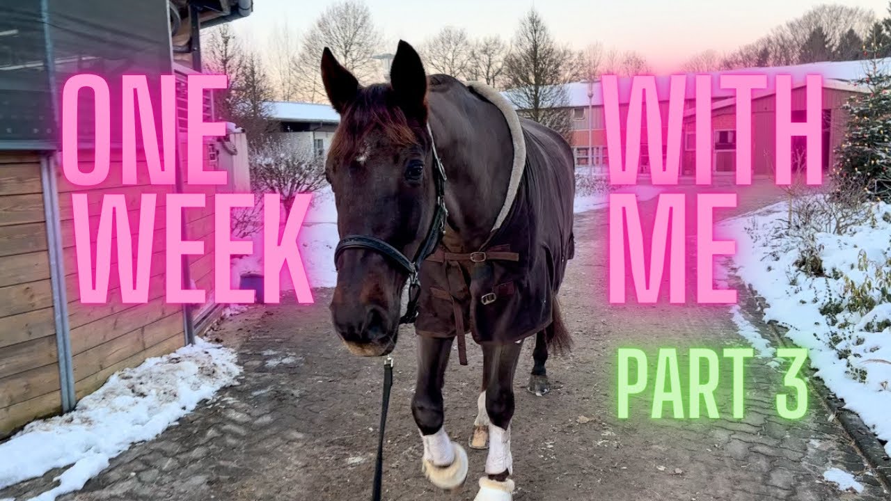 Cavaletti-ACTION mit NUNU🫣🥳 One Week With Me #3