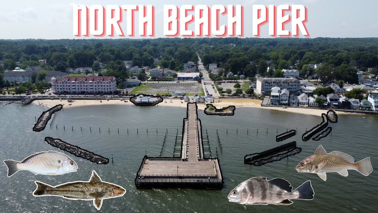 Fishing North Beach Pier | Chesapeake Bay MD (Black Drum, Whiting, Croaker, Spot)