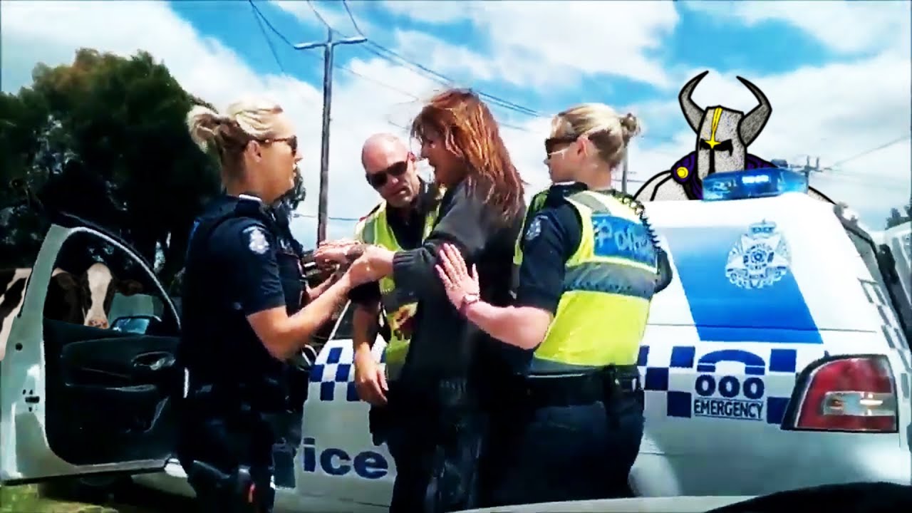 Idiot Loses Window, Wins Paddywagon Ride for Travelling Without Brain - Sovereign Citizens Owned 173