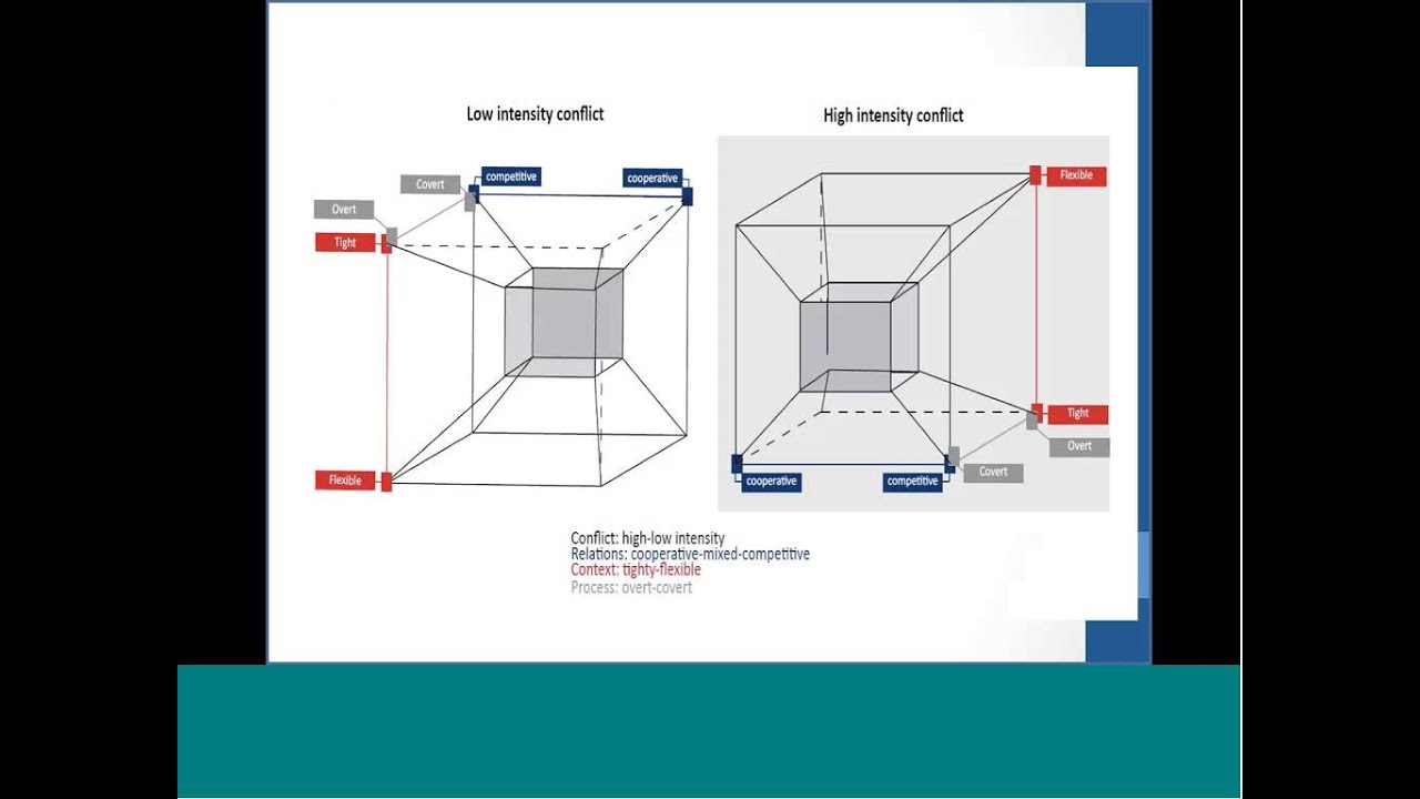 Situated Model of Mediation Webinar 22 January 2016
