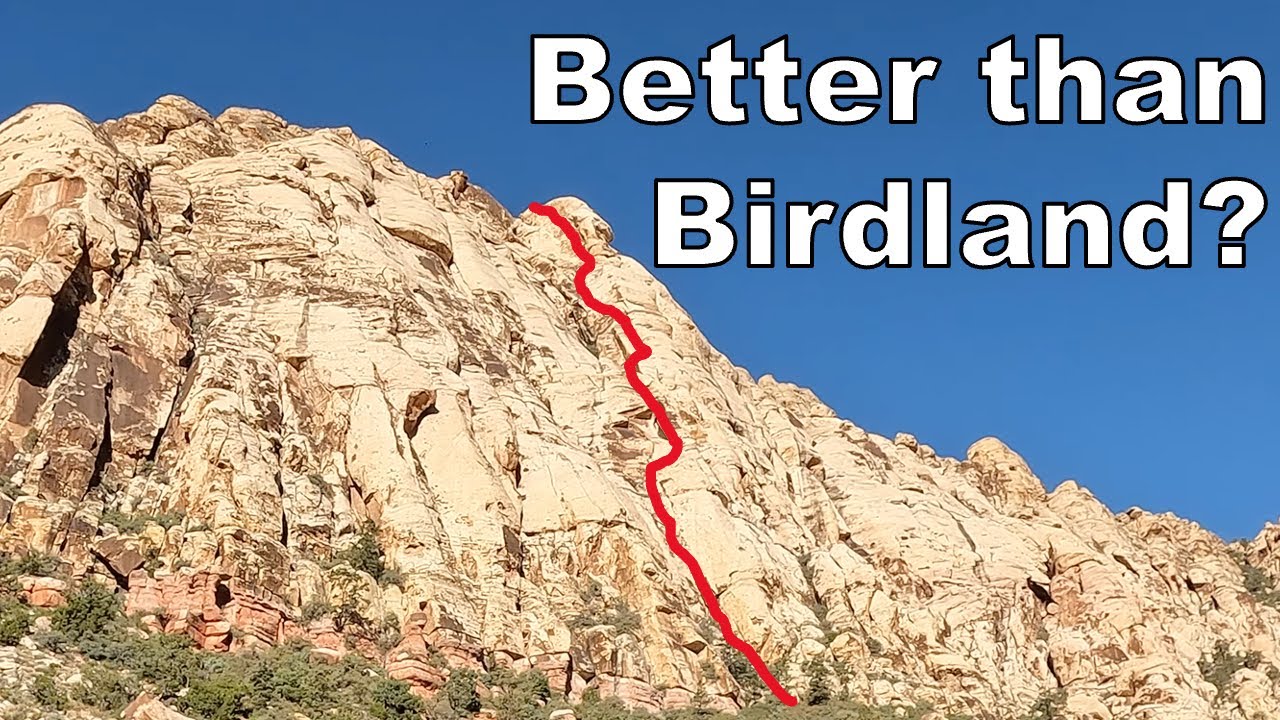 Birdland Level Quality Without the Crowds?!?!? Climb This Route Instead!