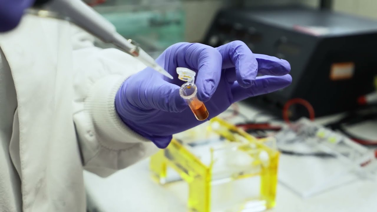 Biodesign Europe - Biotechnology
