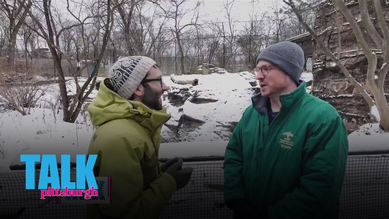 How do the animals spend the winter at the Pittsburgh Zoo and Aquarium?