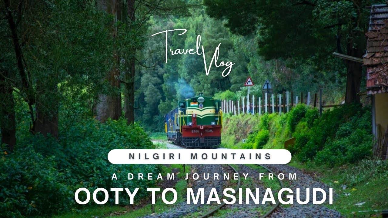 Ooty to Masinagudi  | Masinagudi | Toy Train Ooty | Masinagudi Safari | Dolphin Nose Ooty | Ooty
