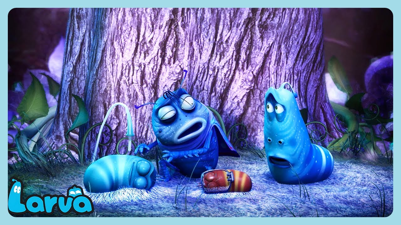 LARVA - La voie de l'eau | WildBrain Enfants | Dessins animés pour enfants
