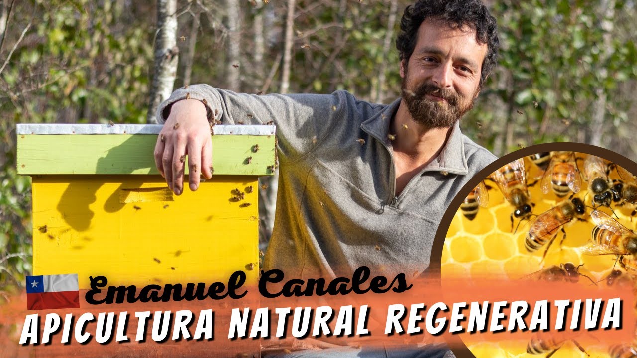 Apicultura Natural Regenerativa en relación con la Ganadería con el experto Emanuel Canales (Chile)