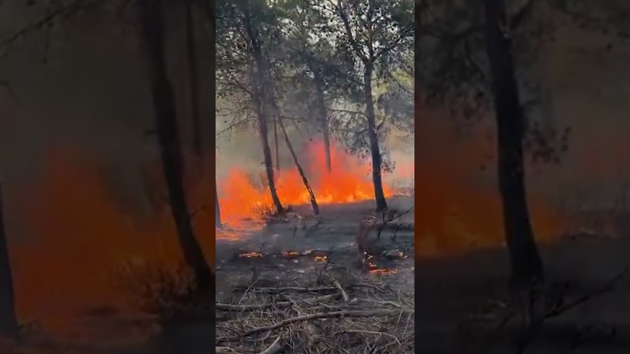 Firefighters battle a wildfire in northern Algeria