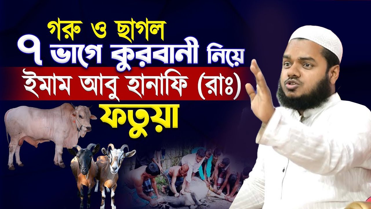ইমাম আবু হানিফা রাঃ এর মতে গরু ও ছাগল কুরবানী করার নিয়ম আব্দুল্লাহ বিন আব্দুর রাজ্জাক কুরবানীর ওয়াজ