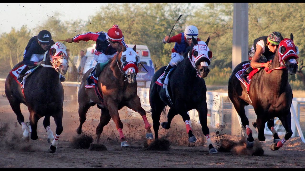 Carreras de Caballos Hipodromo Los Mezquites 26 de Octubre 2025