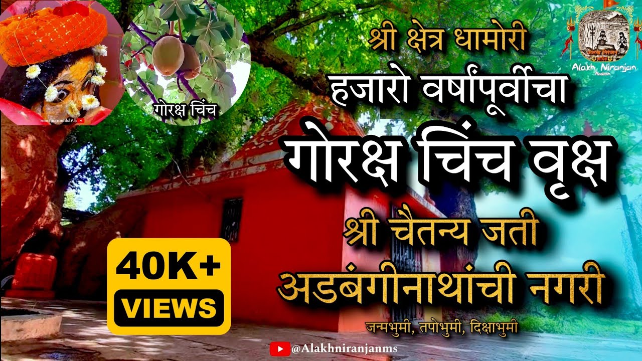 Navnath Maharaj | चैतन्य अडबंगीनाथांची नगरी |श्री क्षेत्र धामोरी |@AlakhNiranjanMS 