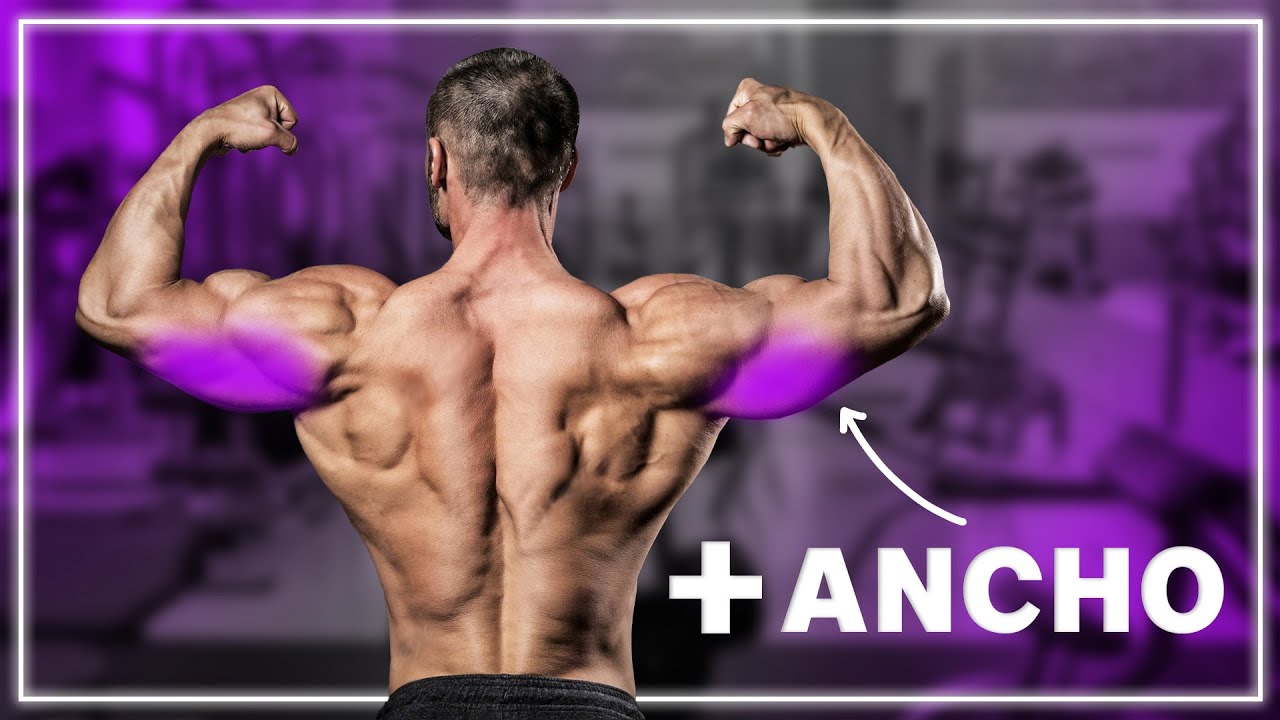 🔴 TRICEPS GRANDES 🔴 || Ejercicios para cada cabeza del tríceps