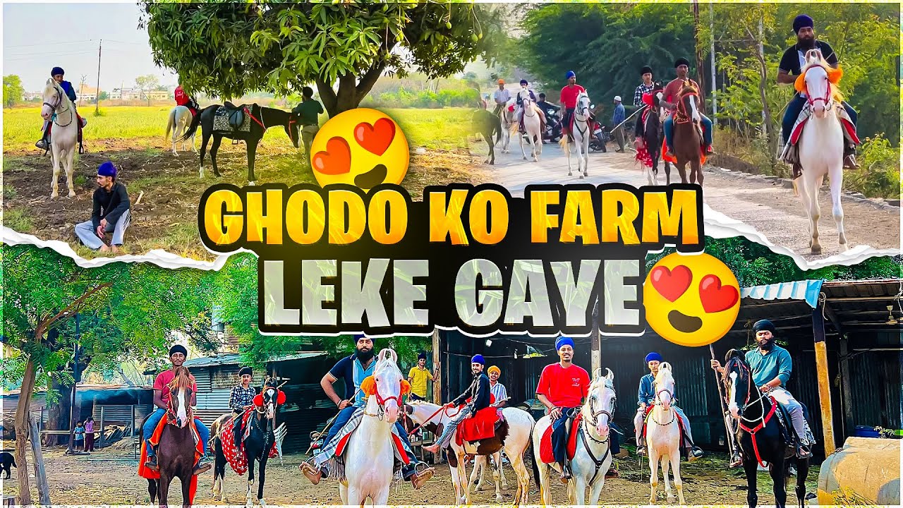 GHODO KO AJJ FARM PAR LEKE GAYE🌾🐎❤️ || HORSE STABLE NANDED