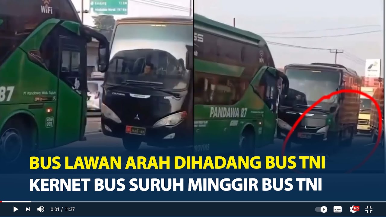 Viral Bus Pandawa 87 Lawan Arah Dihadang Bus TNI, Kernet Bus Suruh Minggir Bus TNI