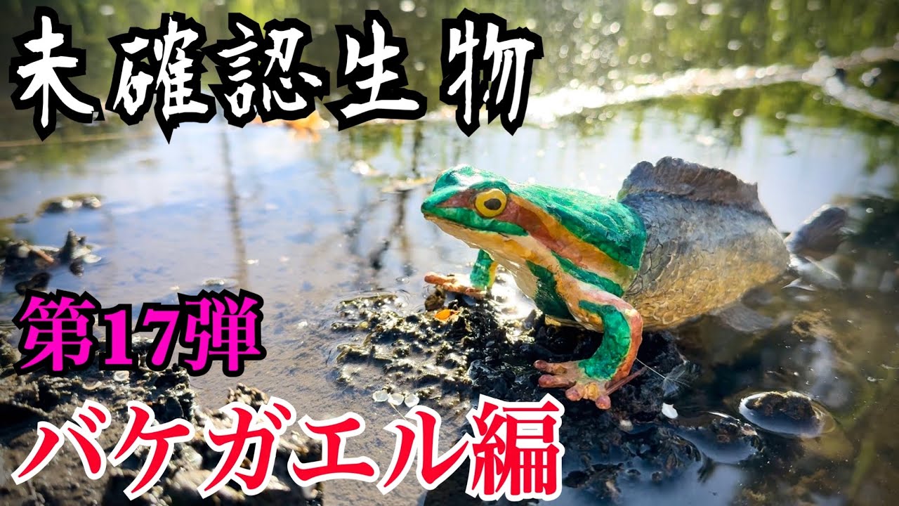 【未確認生物】バケガエル見つけるまで帰れません！！！！