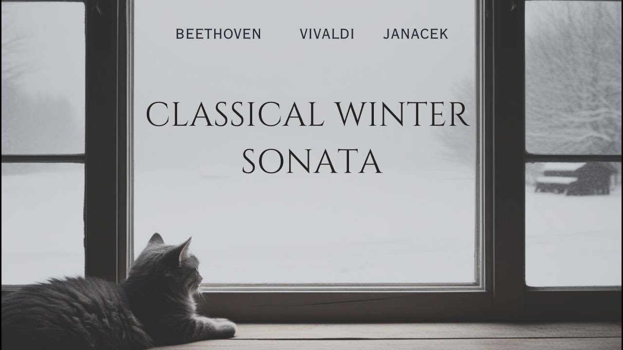 Winter Sonata Part 2 - Timeless Classical Playlist- Beethoven, Vivaldi, Janacek