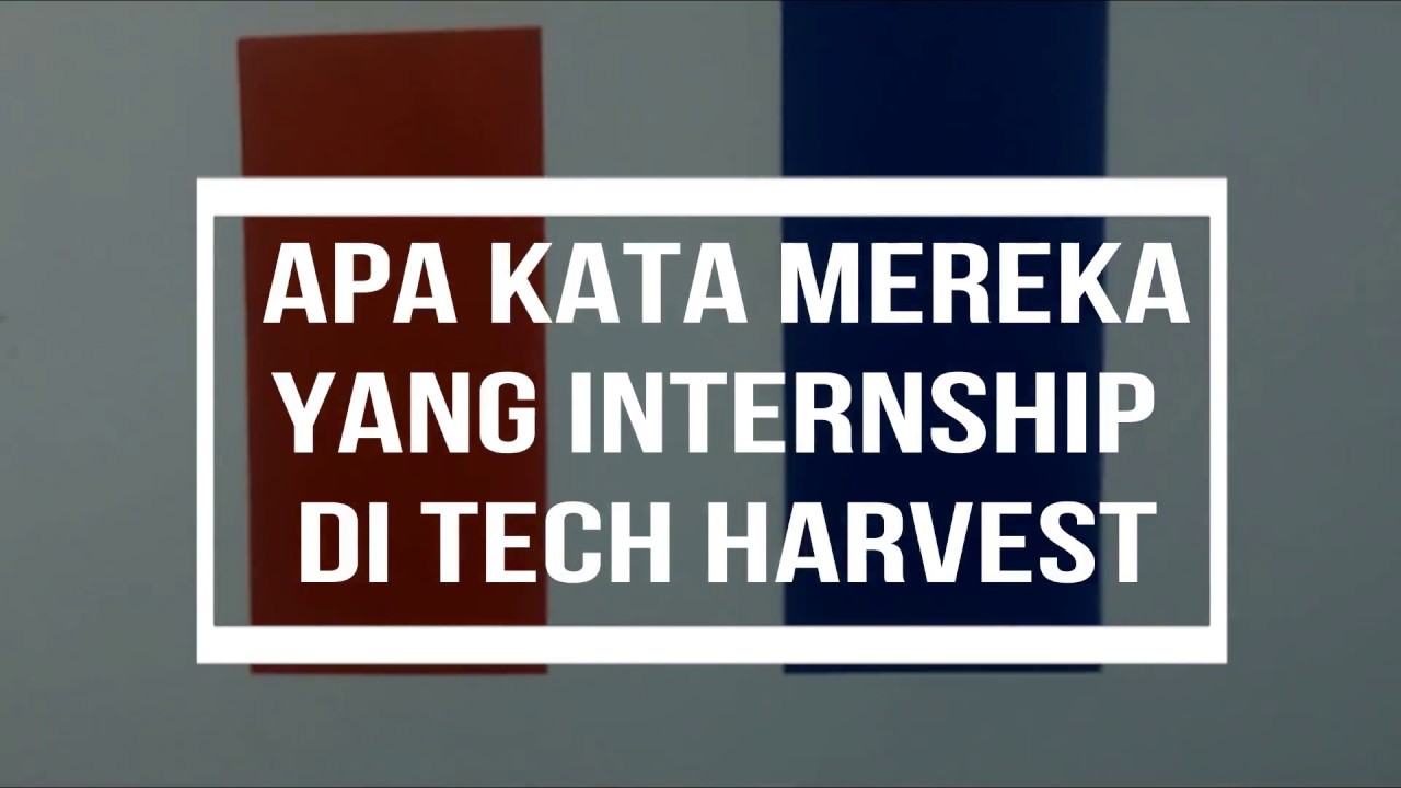 Internship @ Tech Harvest