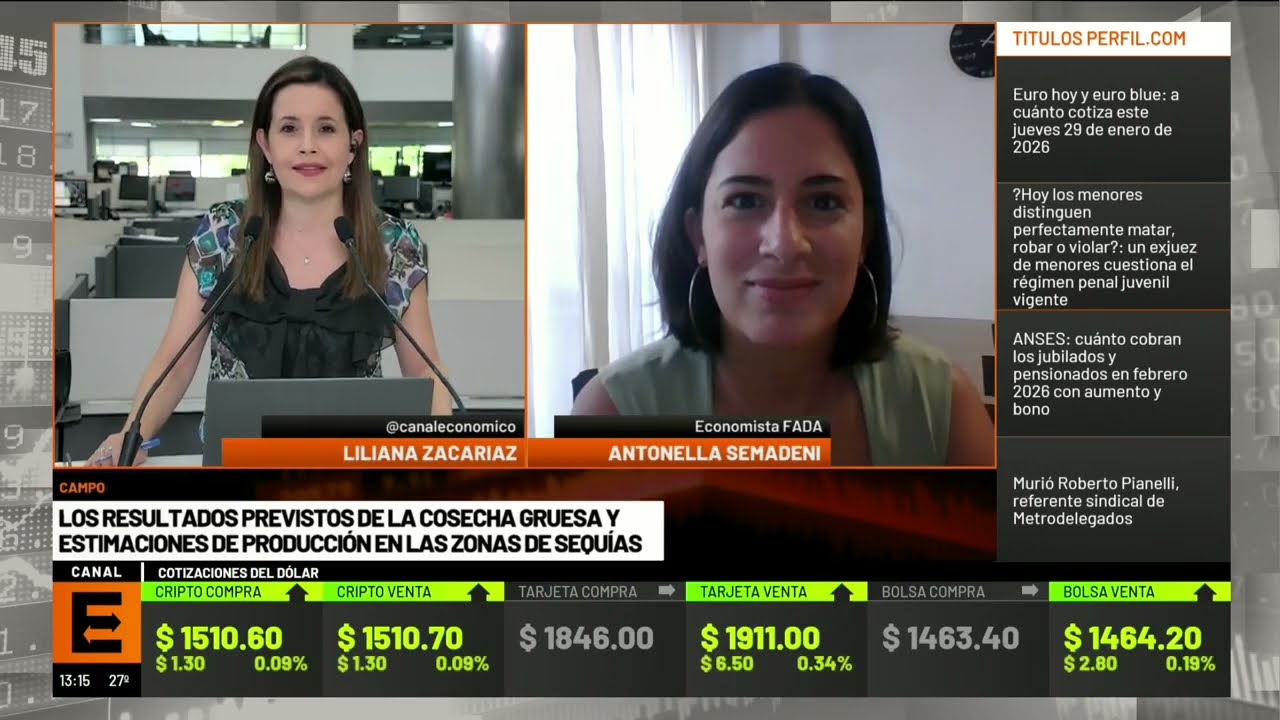 Buenas cosechas en camino: el desafío de producir más sin subas de precios - FADA en Canal E