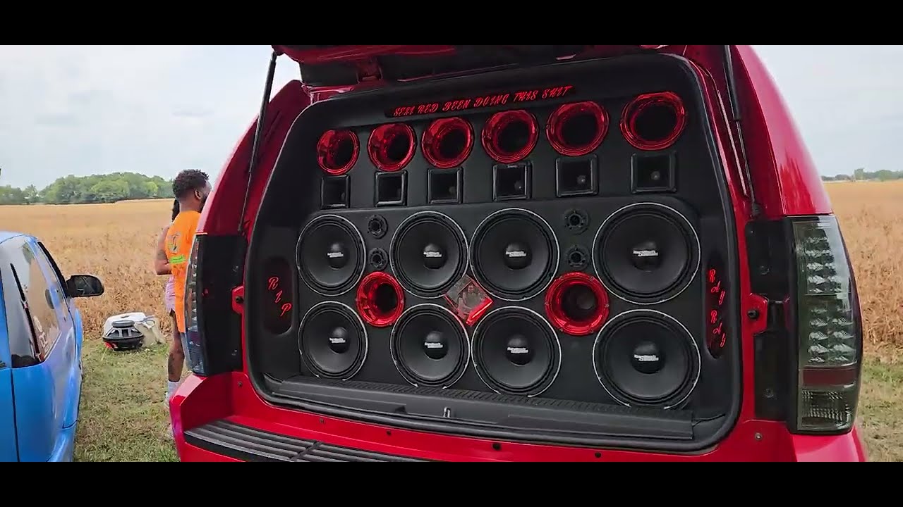 Прекрасный, мощный звук, зверь, БУМ, ДЕТКА 💜