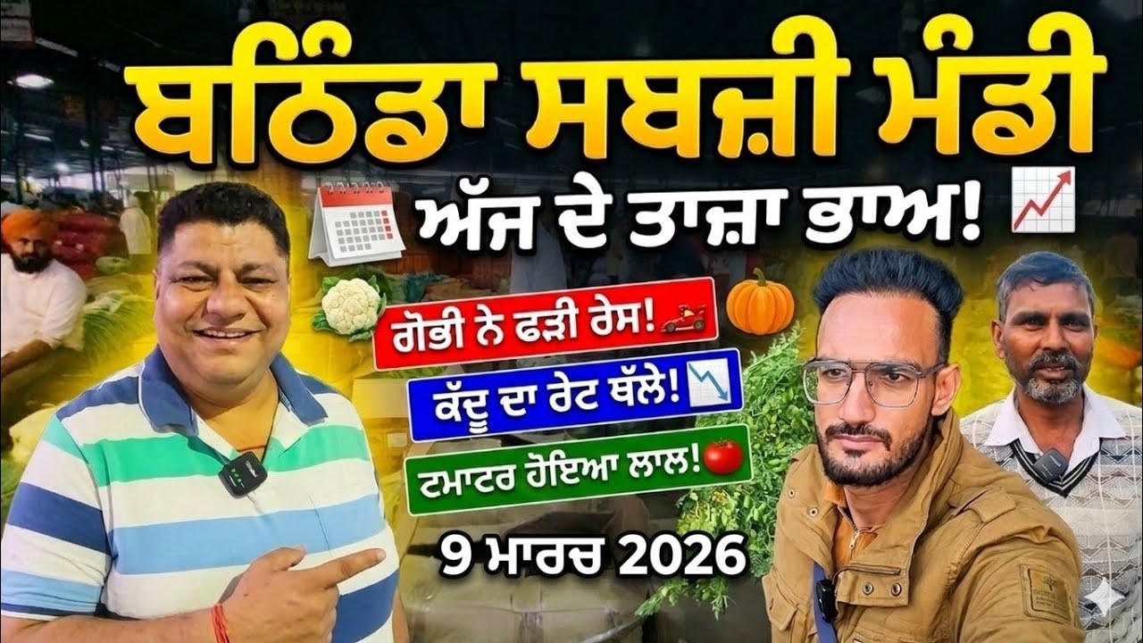 ਬਠਿੰਡਾ ਮੰਡੀ ਚ ਅੱਜ ਮੰਡੀ 'ਚ ਗੋਭੀ ਤੇ ਟਮਾਟਰ ਦੇ ਤੇਵਰ ਬਦਲੇ! 🔥 ਭਿੰਡੀ ਤੇ ਕੱਦੂ  ਮੰਦੇ, ਆਲੂ ਨੂੰ ਲੱਗੀ ਬਰੇਕ?