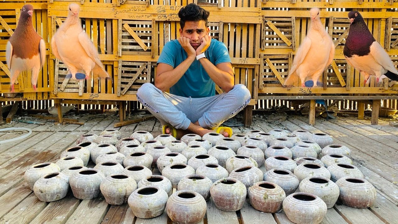 تحدي محمد يقولي نعم علي اي شئ في غية الحمام😎🕊غسل 80 مسقة للشرب😱😂