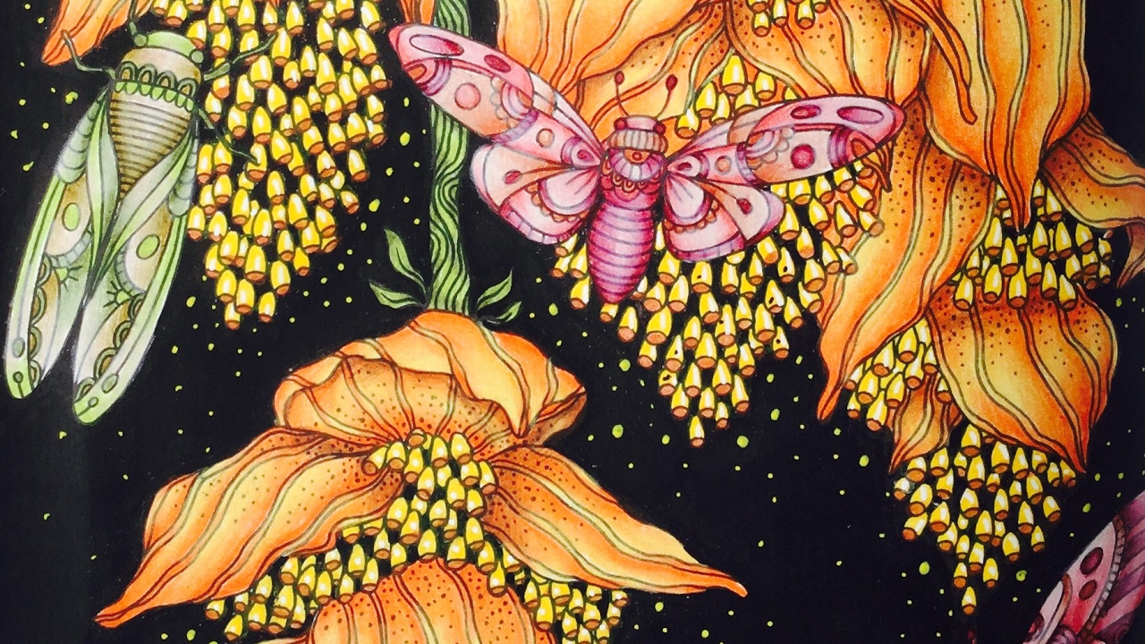DAYDREAMS- DAGDROMMAR by Hanna Karlzon - prismacolor pencils - color along
