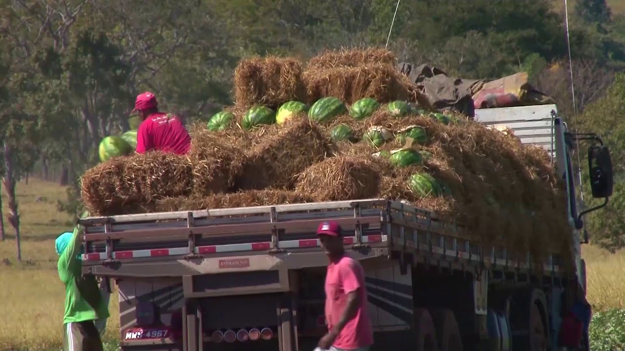 NOSSO AGRO - Produtores pedem mais recursos para modernizar a propriedade