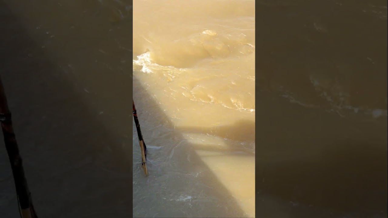 Real Life 100% Net Fishing In River At The Countryside (Part 420) #fishing #amazingfishinglife #fish