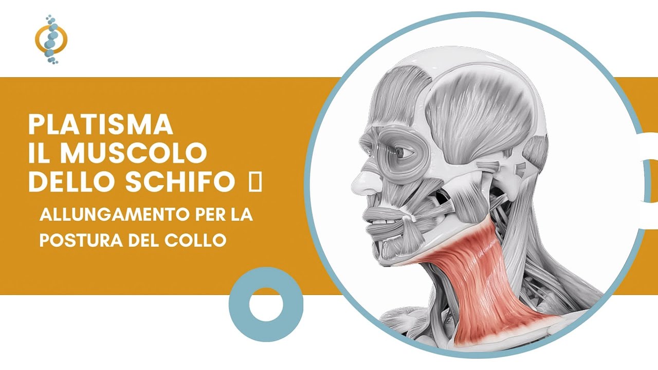 COLLO IN AVANTI E PLATISMA: Un solo esercizio per la postura e la serenità.