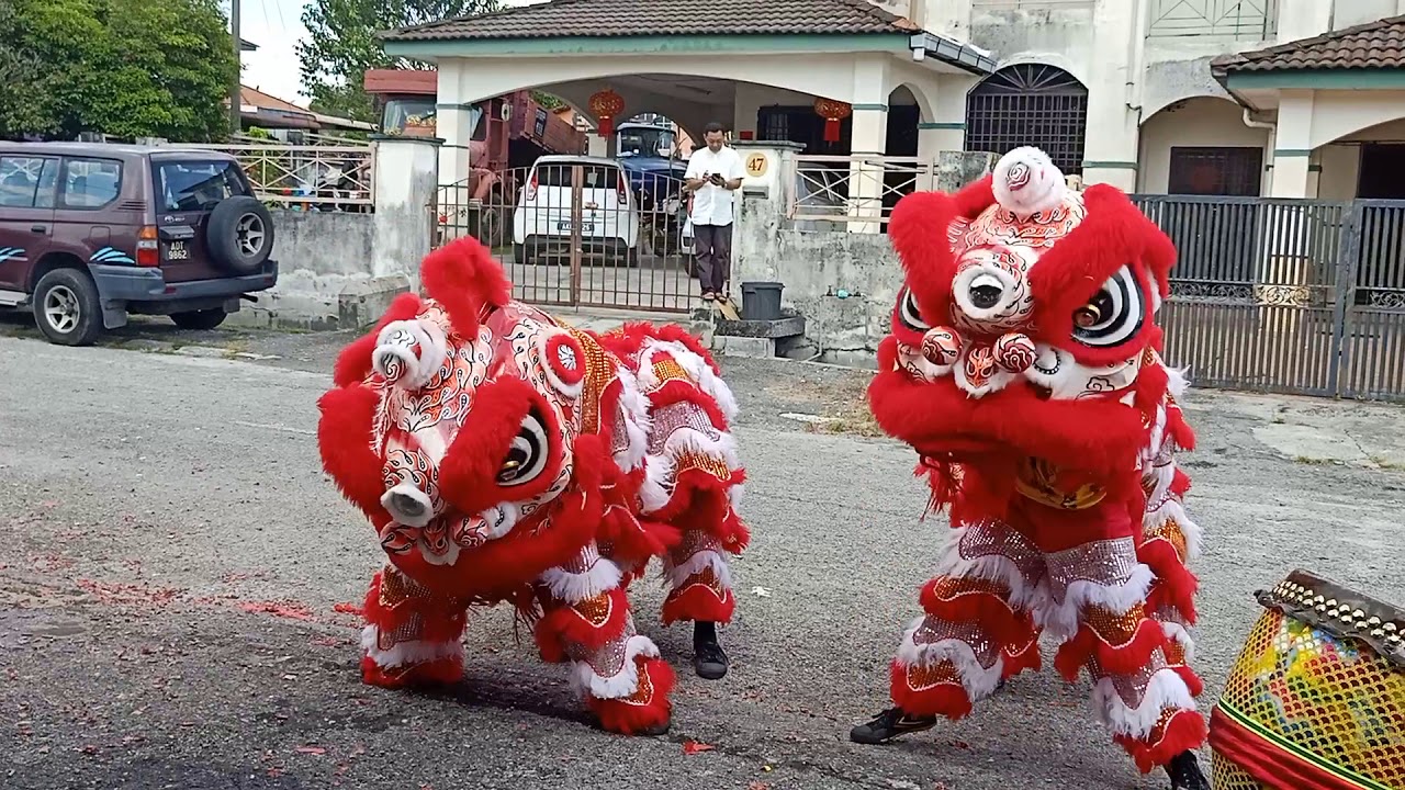 2020CNY lion dance 农历新年2020的舞狮