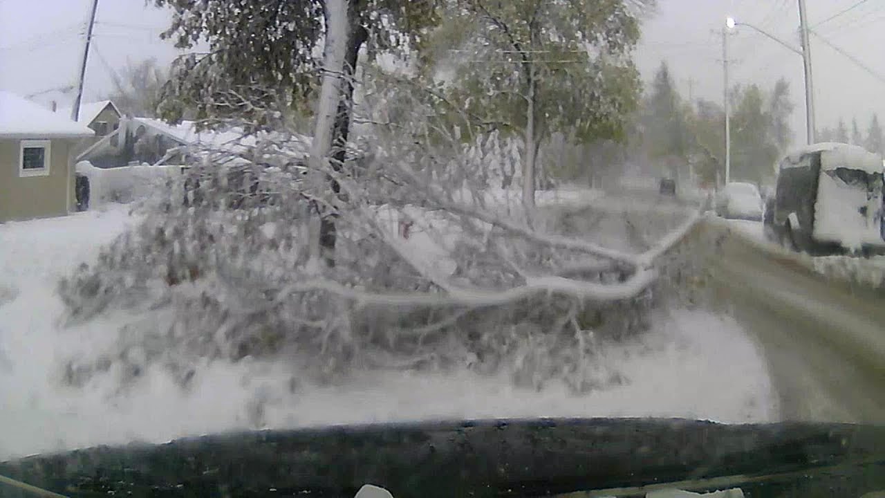 Winnipeg Snow Storm 2019