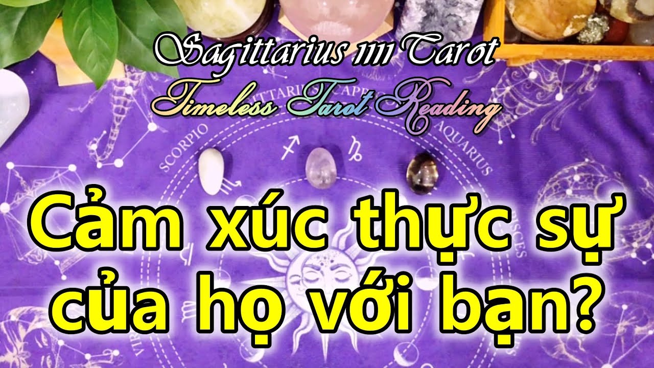 TAROT TÌNH YÊU: CẢM XÚC THỰC SỰ CỦA HỌ VỚI BẠN? CHỌN 1 TỤ BÀI | TIMELESS | #timeless #tarot #tinhyeu