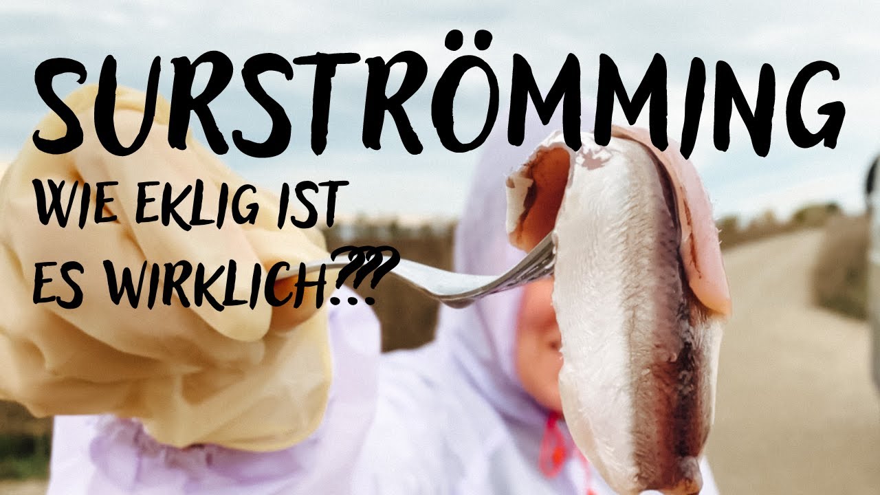 SURSTRÖMMING RICHTIG essen, Traditionsgericht, die Gönnung steigt....