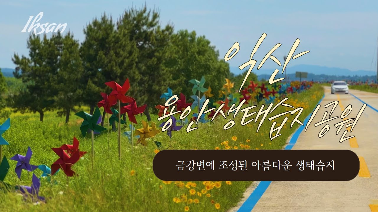 [UP-익산탐험] 금강변에 조성된 아름다운 생태습지, 용안생태습지공원!