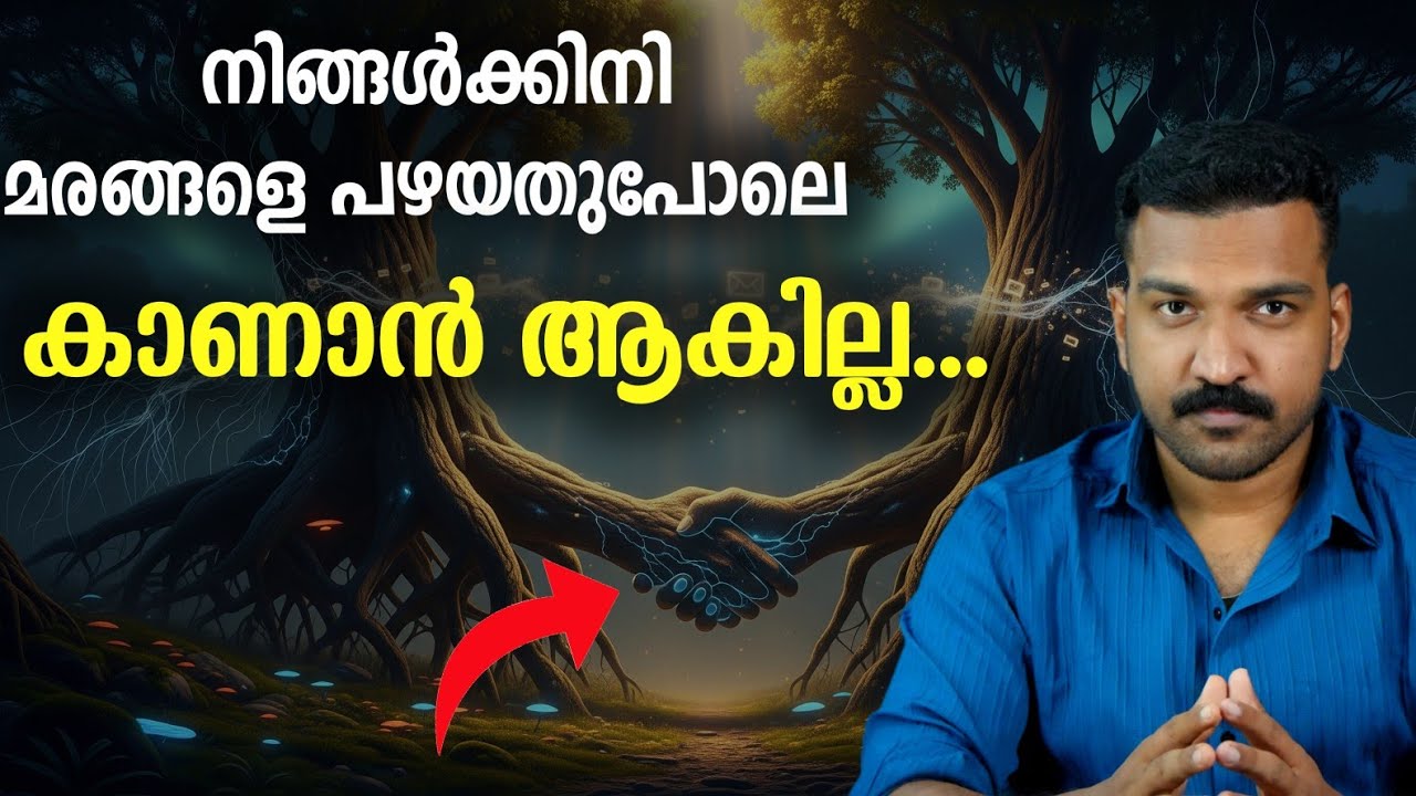 മരങ്ങൾ പരസ്പരം സംസാരിക്കാറുണ്ടെന്നു കണ്ടെത്തൽ 