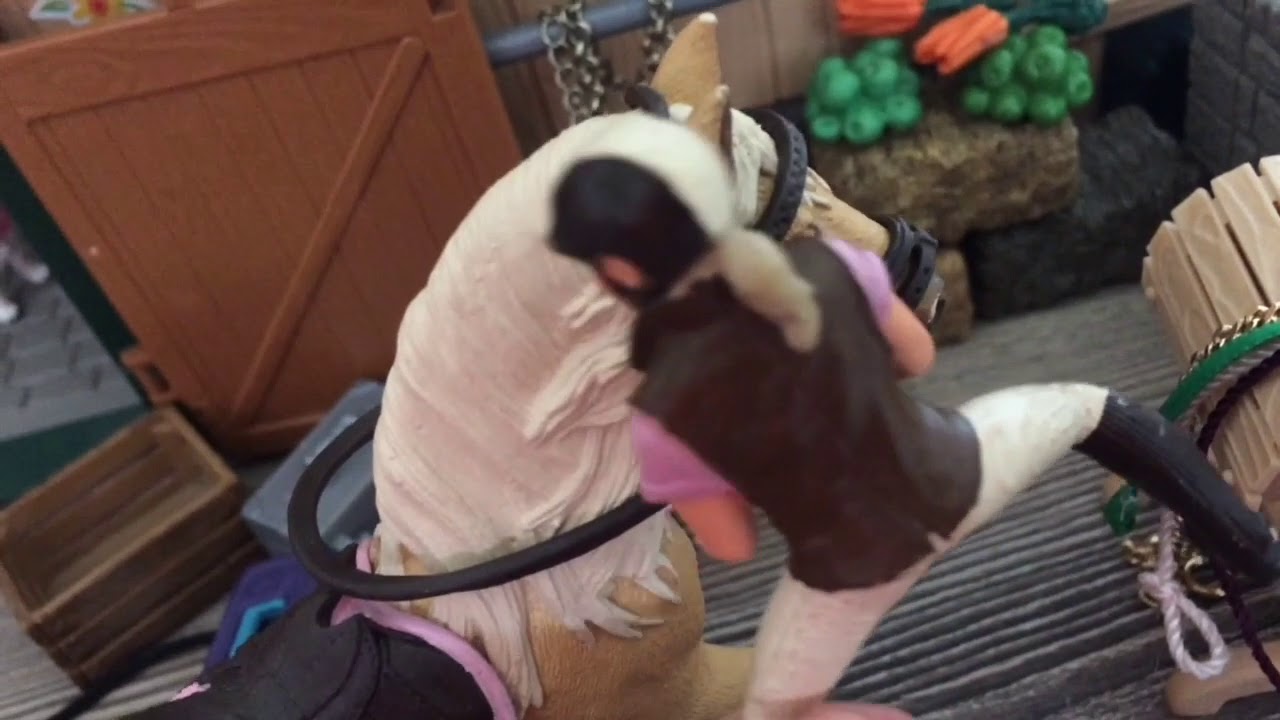 Rutina u koní❤️🐴Z pohledu Elli🐴