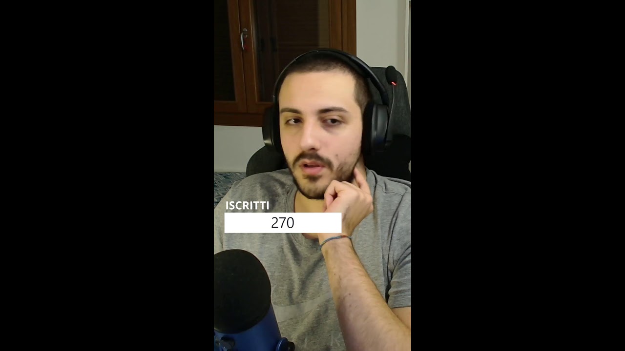 ANDIAMO A PRENDERE LE ELYTRA (Portrait)