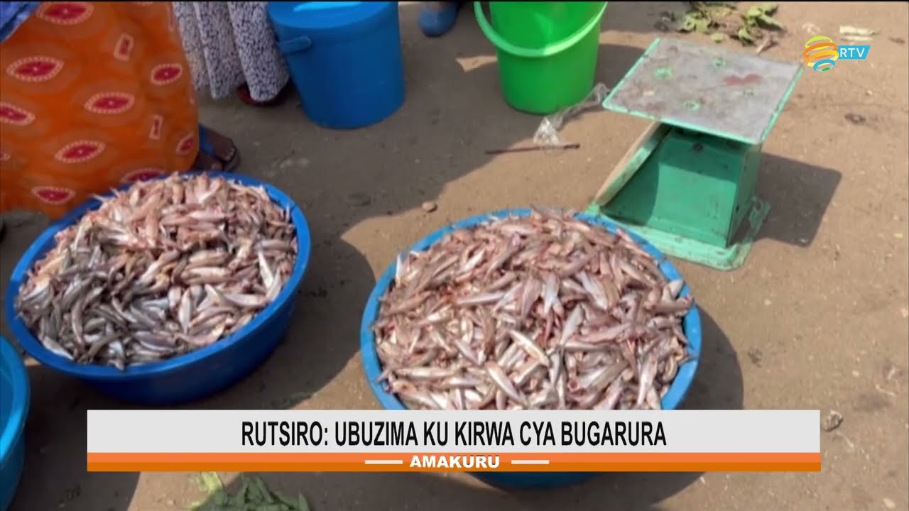 Rutsiro: Imibereho ku kirwa cya Bugarura | Baravuga imyato uburyobyi bw'isambaza