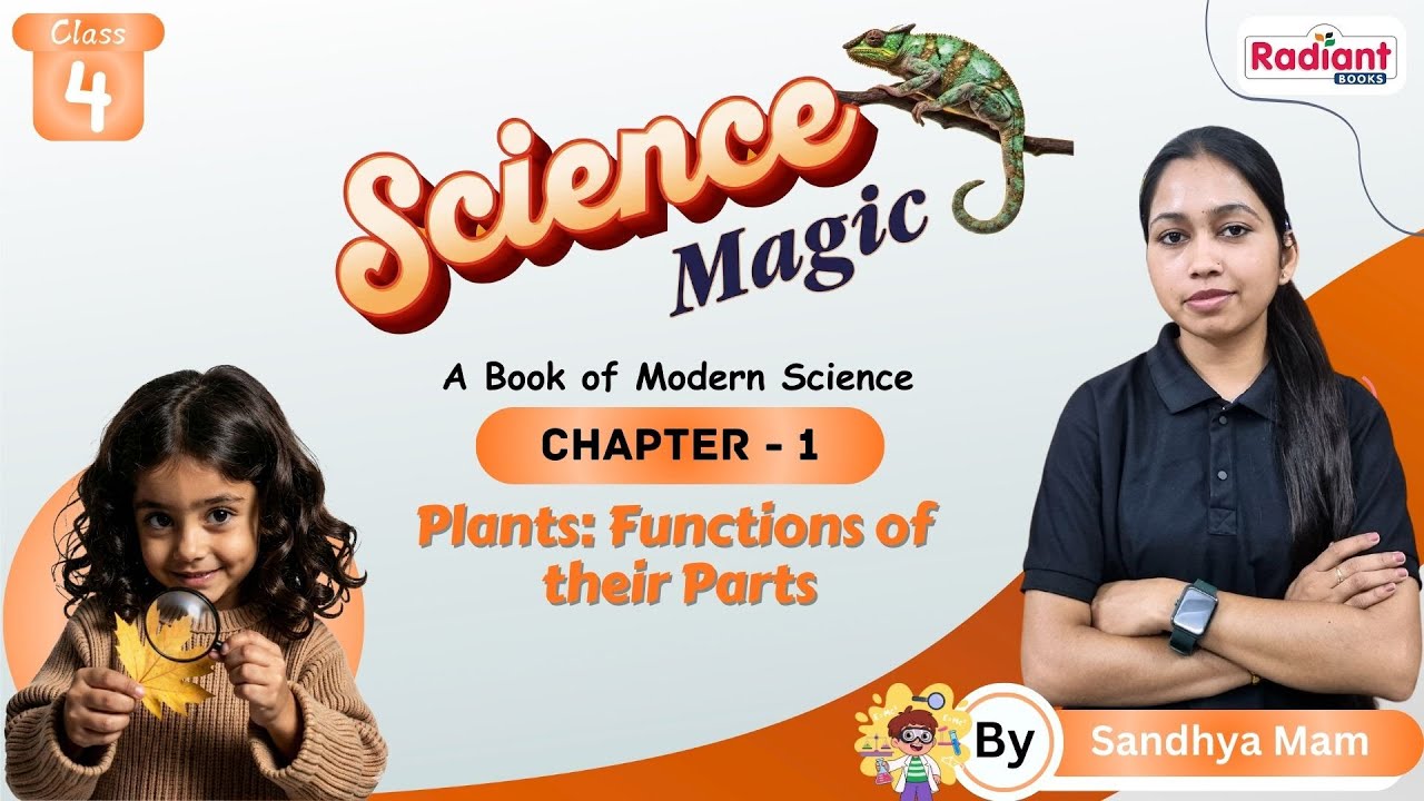 Plants Functions of their Parts | Science | Chapter - 1 | Class - 4 | By Sandhya Mam | Radiant Books