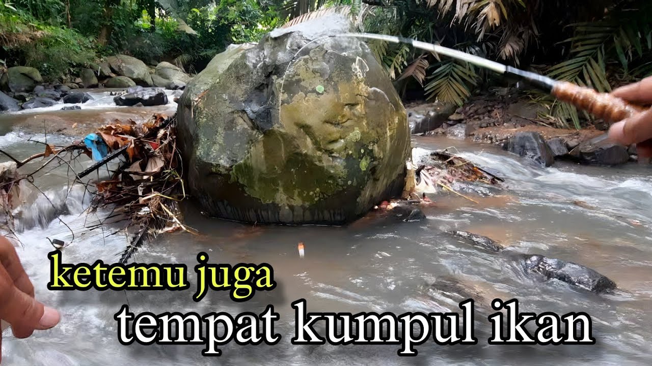 Musim Hujan Waktunya Ikan Kecil Makan || mancing ikan uceng di sungai kecil