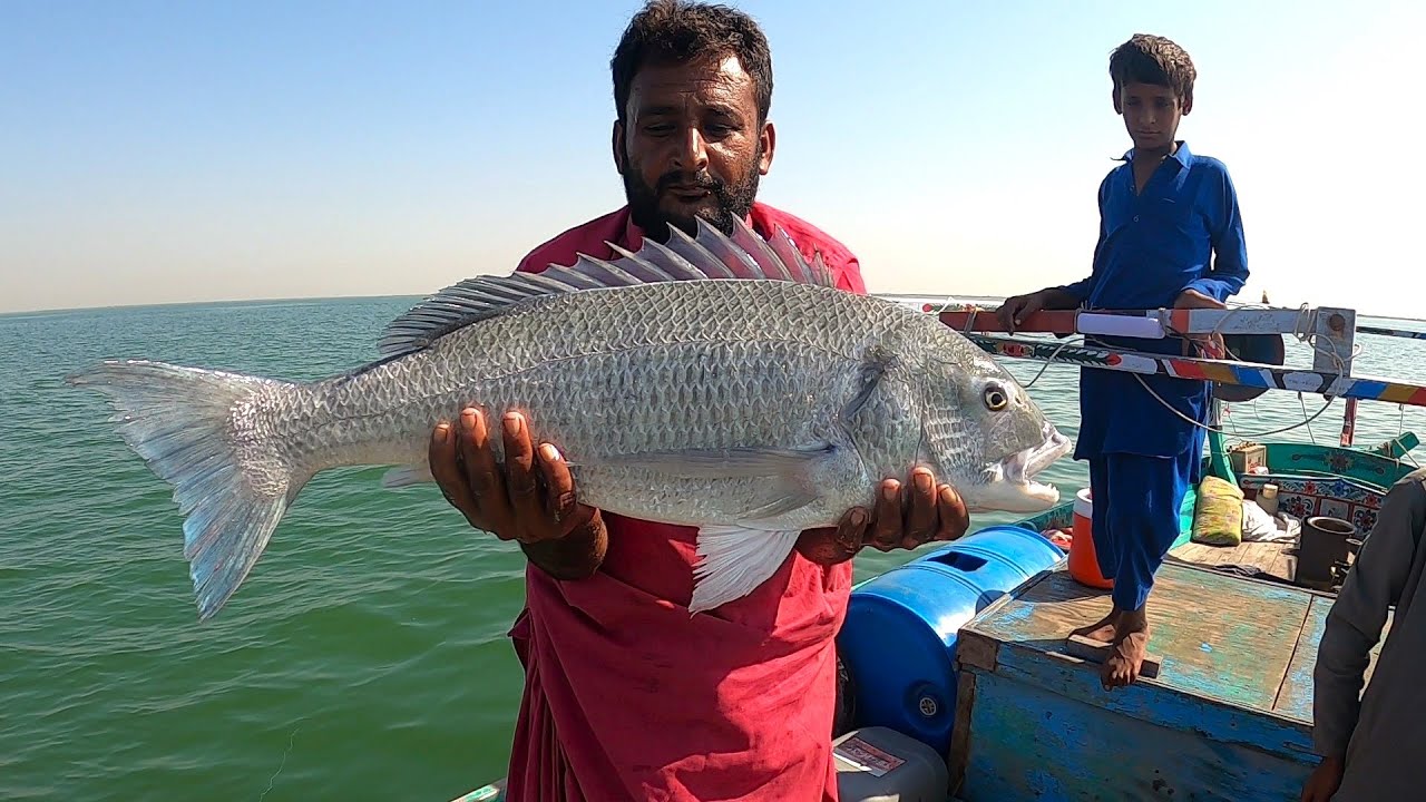 Rehri Goth To Pittiani | Mangroves Fishing | Bottom Fishing