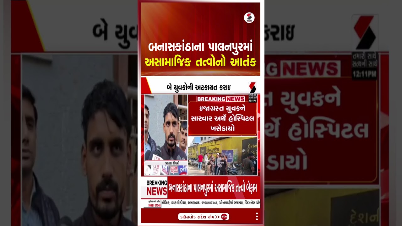 Banaskantha | બનાસકાંઠાના પાલનપુરમાં અસામાજિક તત્વોનો આતંક | Palanpur | Crime |