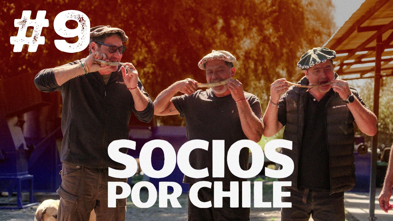 Socios por Chile - Regi&oacute;n de Los Lagos