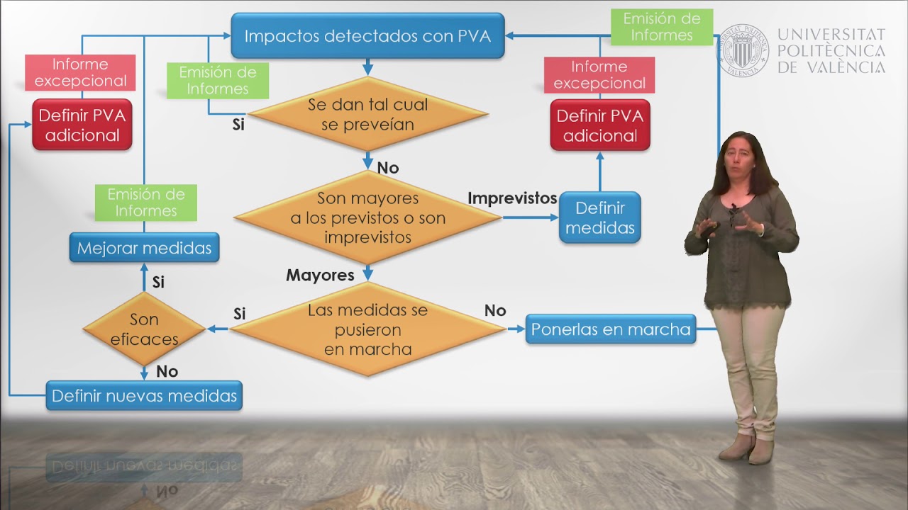 Programas de vigilancia ambiental | 22/24 | UPV