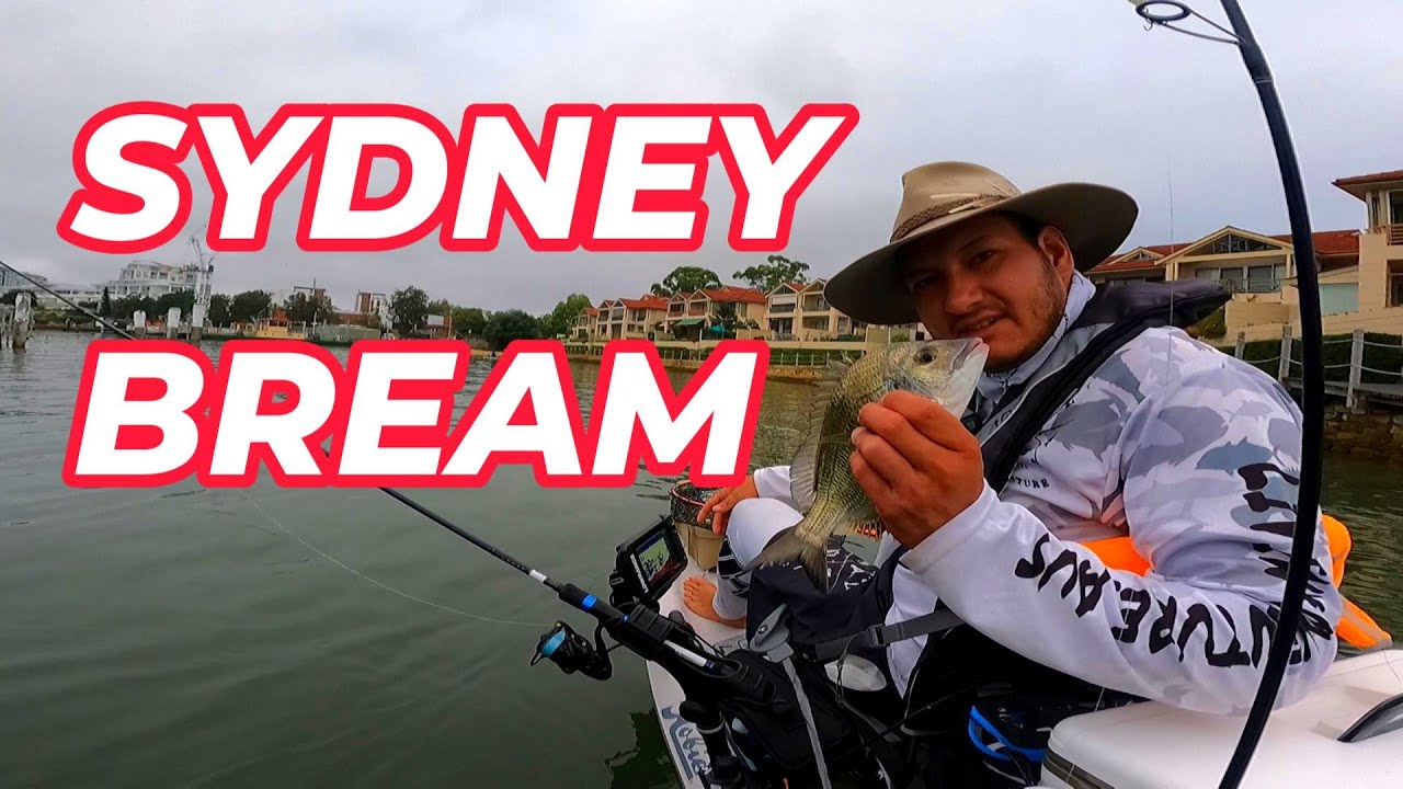 PARRAMATTA RIVER || HOBIE LYNX || ACTION FISHING TOURNAMENT