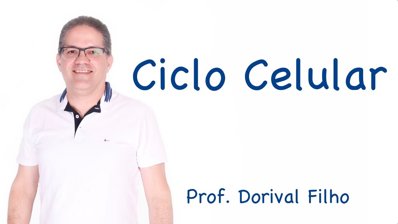 Ciclo Celular