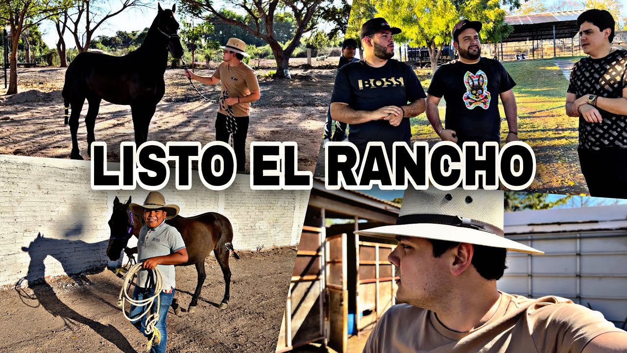 ME LLEVE TODOS LOS CABALLOS A SU NUEVA CASA |ELKC|