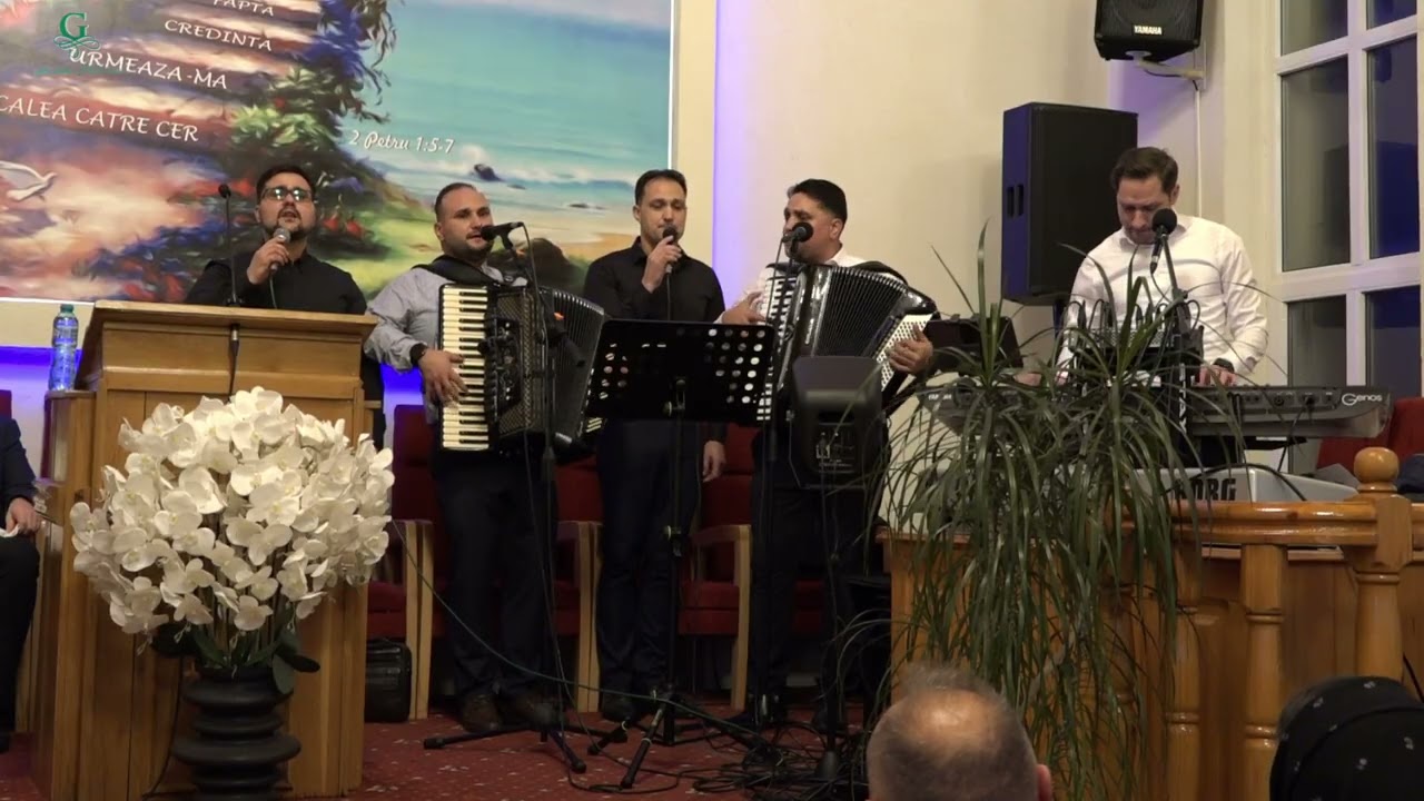 Călători pe drum pustiu  /  Frati Strugariu