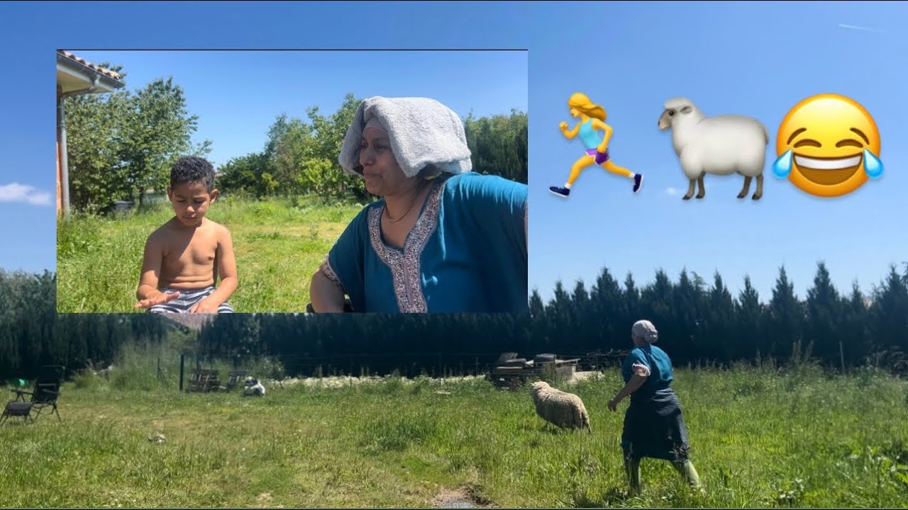 Matinée course avec Antonio 🐑😅🤦🏽‍♀️ رياضة الصباح مع غنمي 😆🏃‍♀️🌺