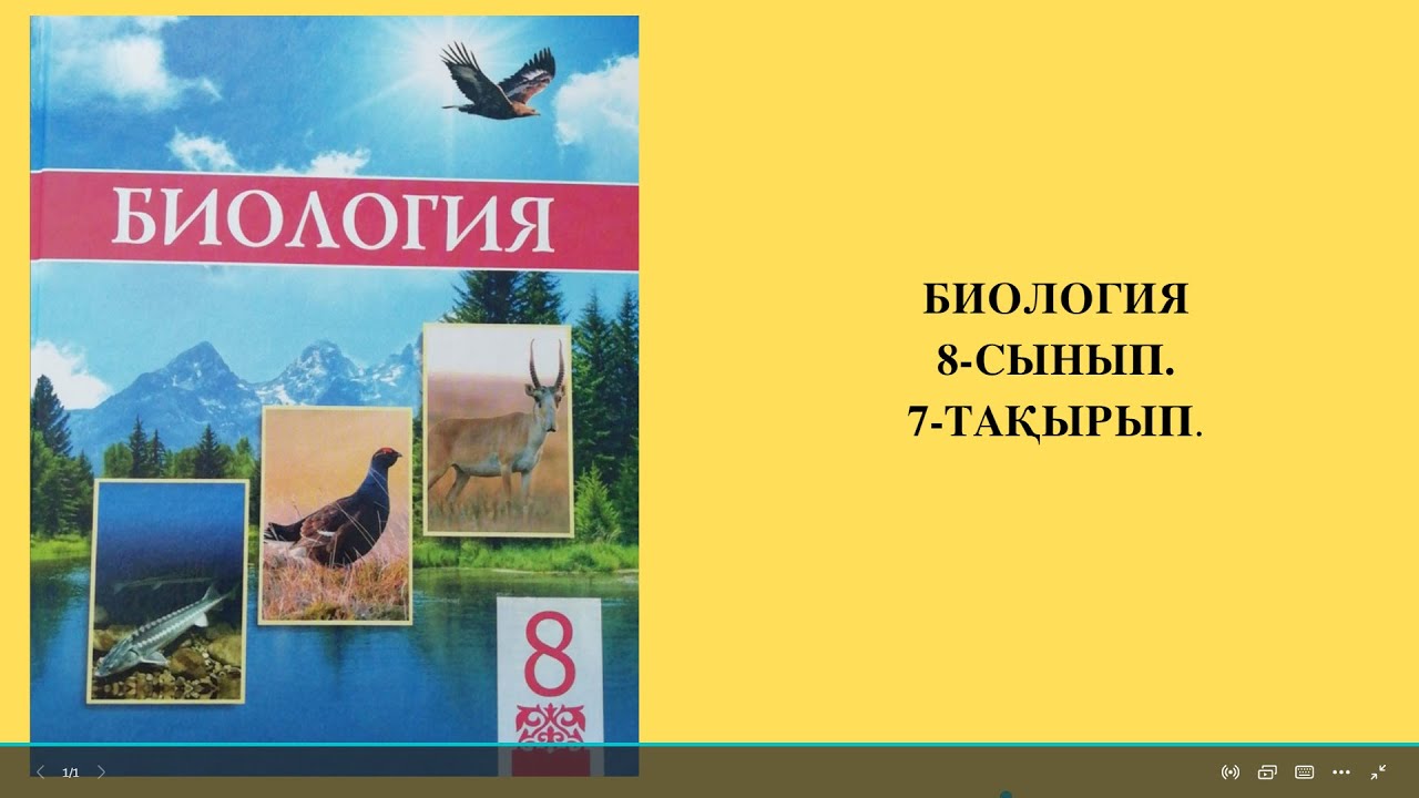 САҢЫРАУҚҰЛАҚТАР -  ТІРІ АҒЗАЛАРДЫҢ ЕРЕКШЕ ПАТШАЛЫҒЫ.